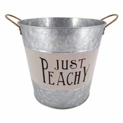 Ovl Galv Jst Peachy M